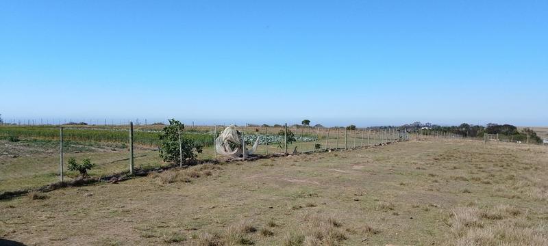 0 Bedroom Property for Sale in Groot Brakrivier Rural Western Cape